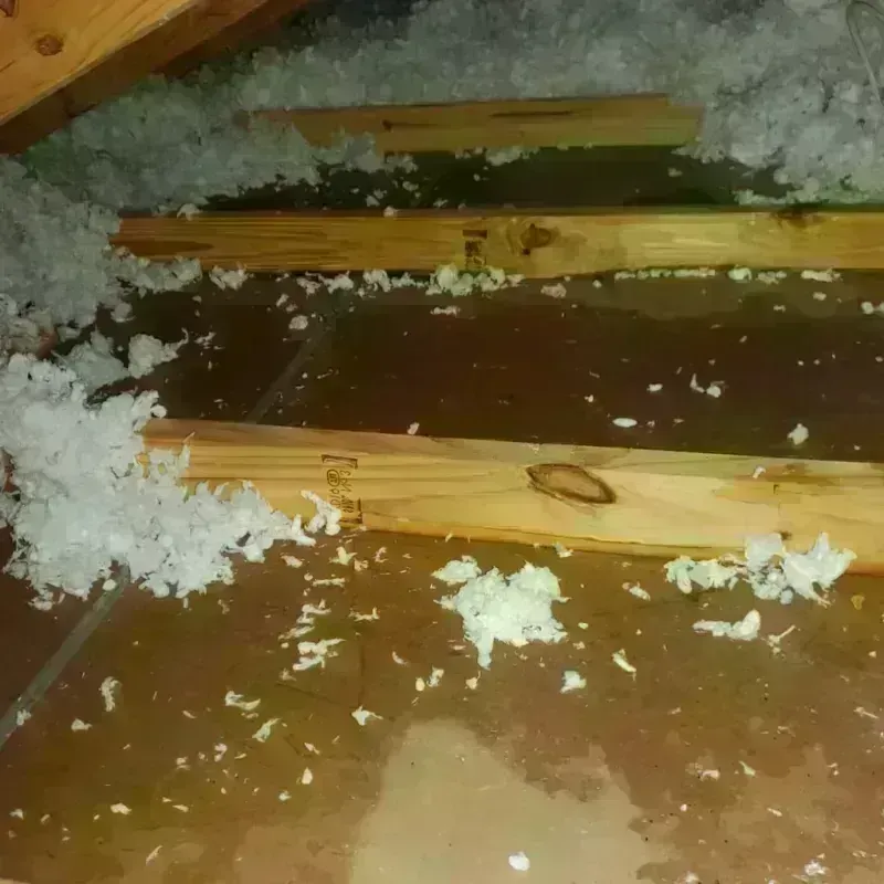 Attic Water Damage in Middleville, MI